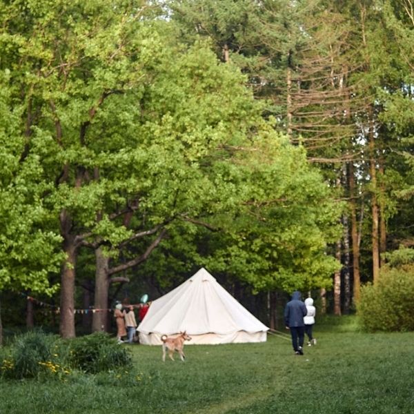 white canvas bell tent set up near woods with family outside