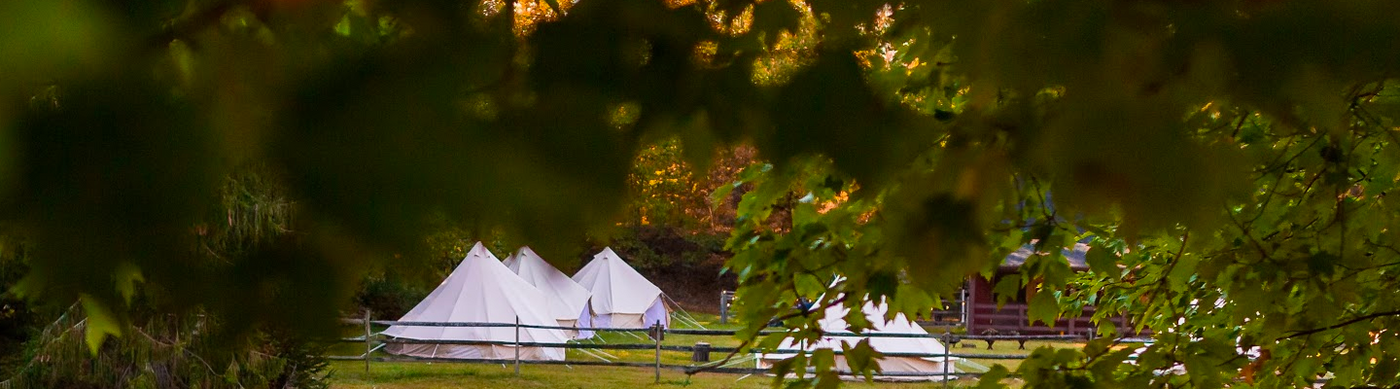 glamping tents in a Washington field
