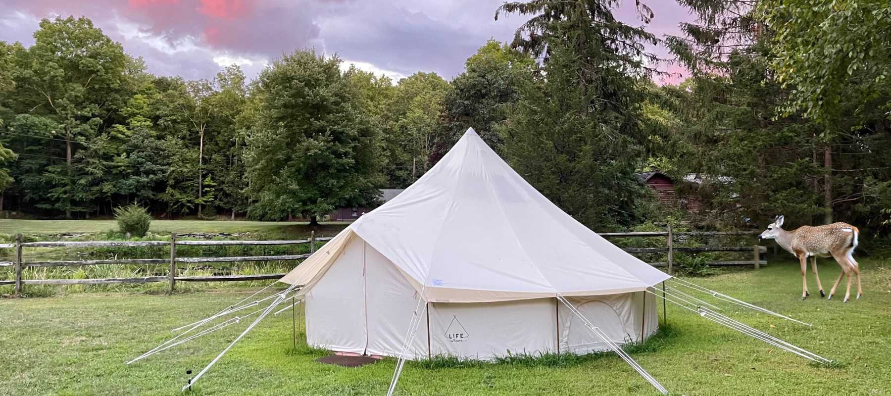 16 ft bell tent with a deer