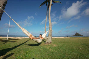 hammock at beach