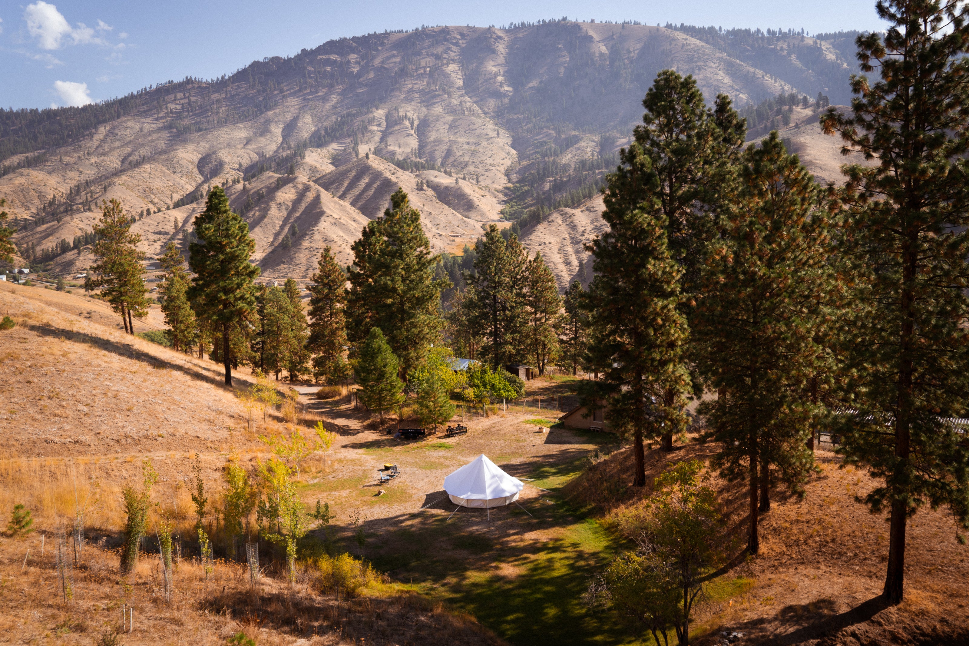 An uphill view looking down into a valley at a white canvas bell tent beneath ponderosa pines and a backdrop of golden foothills and blue sky. 
