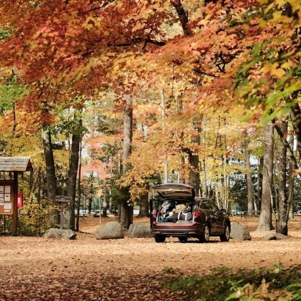 car with camp gear in trunk parked at campground during fall season