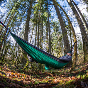 Person relaxing in a green hammock surrounded by trees in a forest.