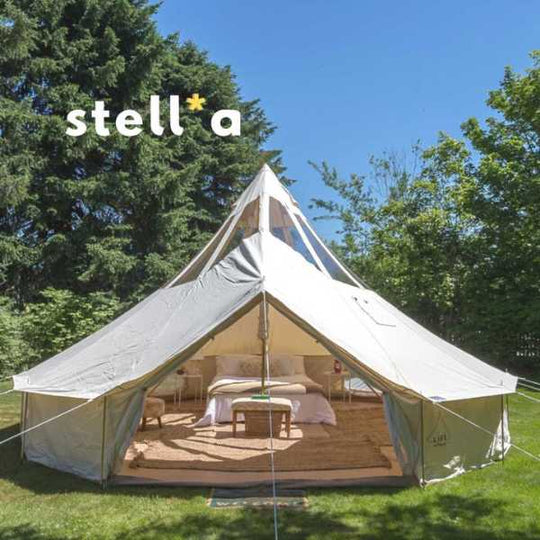 white canvas camping tent with bed inside and trees around it