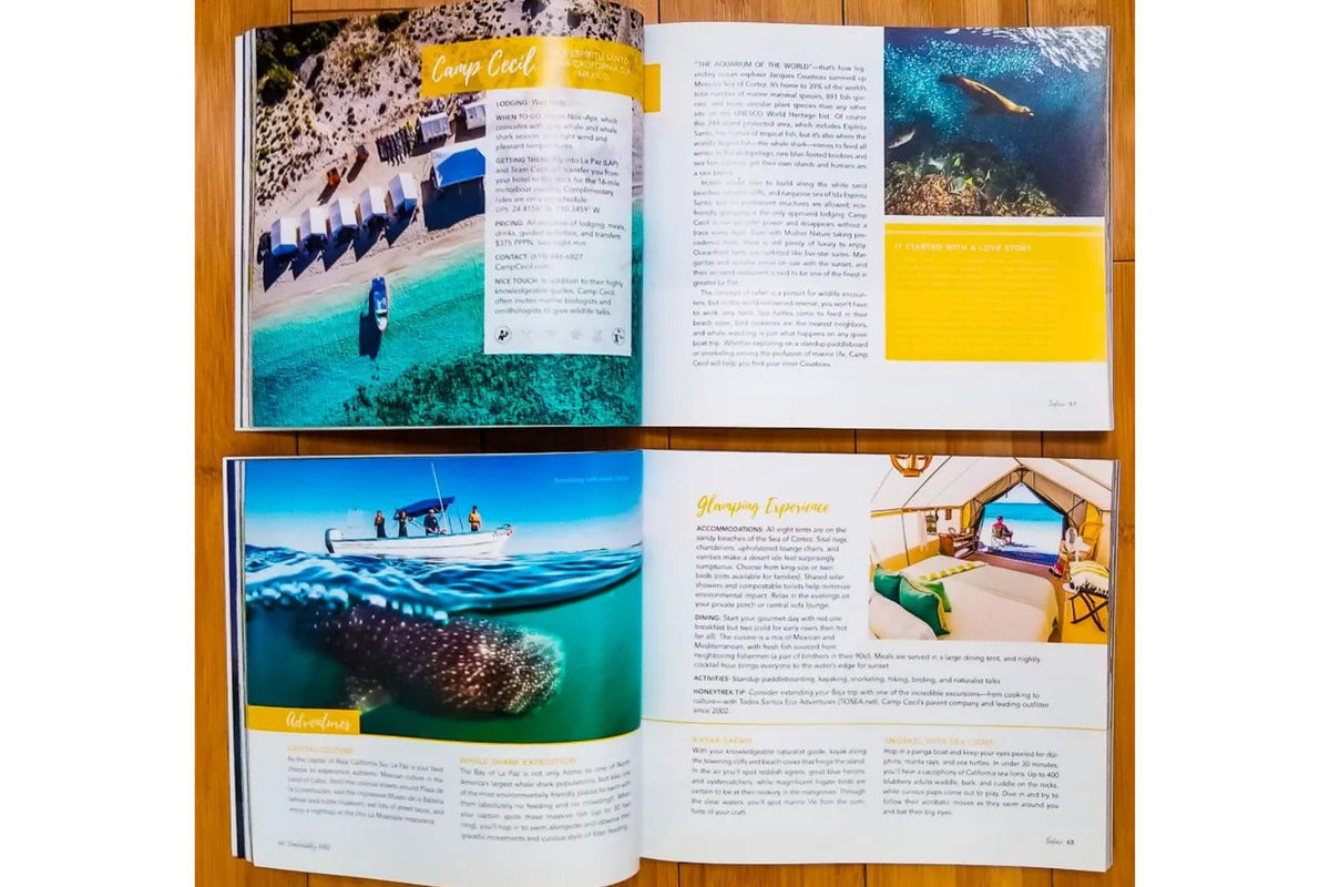 Confortablement sauvage - The Glamping Book 