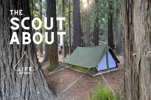 scout about tent by life intents